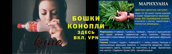 трава Корсаков