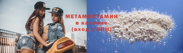трава Корсаков