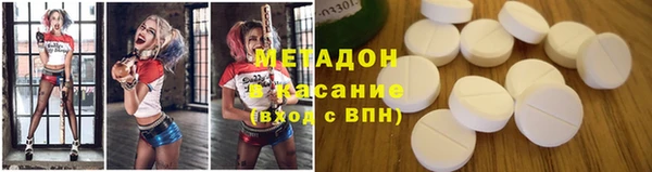 трава Корсаков