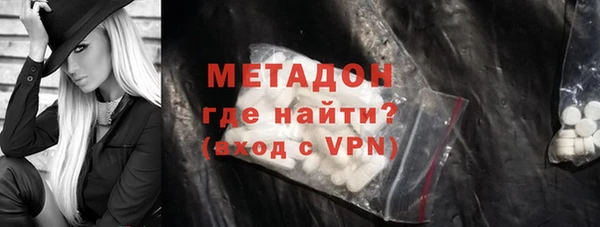 трава Корсаков