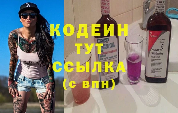 трава Корсаков