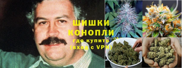 ПСИЛОЦИБИНОВЫЕ ГРИБЫ Кодинск