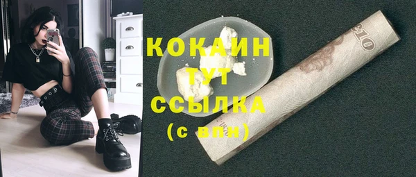 бошки Коряжма