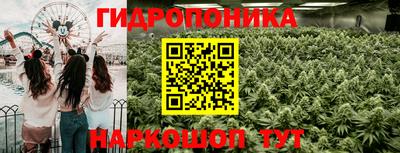 стаф Краснознаменск