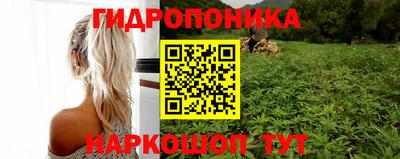 стаф Краснознаменск