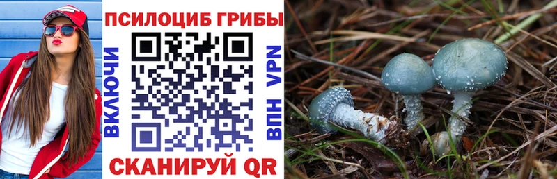 Псилоцибиновые грибы мухоморы где можно купить Лабытнанги